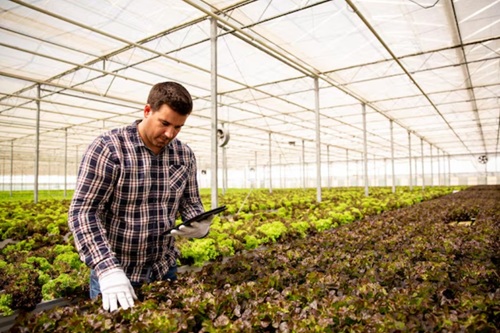 Introdução à Engenharia Agronômica