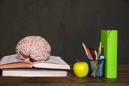 Neuroalfabetização