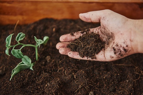 Fertilidade do Solo e Nutrição de Plantas