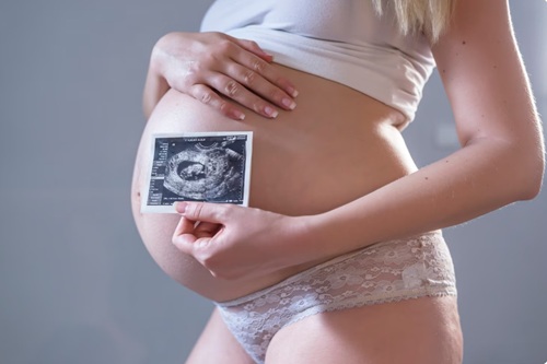Fisiologia da Gestação