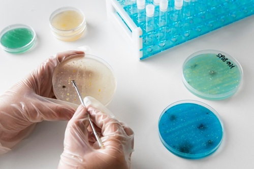 Parasitologia Clínica