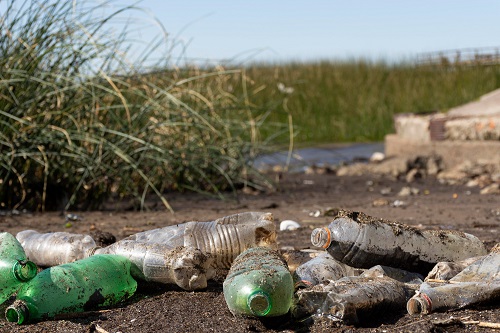 Crimes Contra o Meio Ambiente