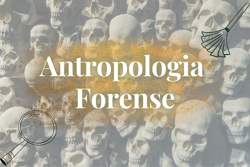 Antropologia Forense