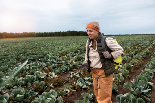 NR 31 - Segurança e Saúde no Trabalho na Agricultura